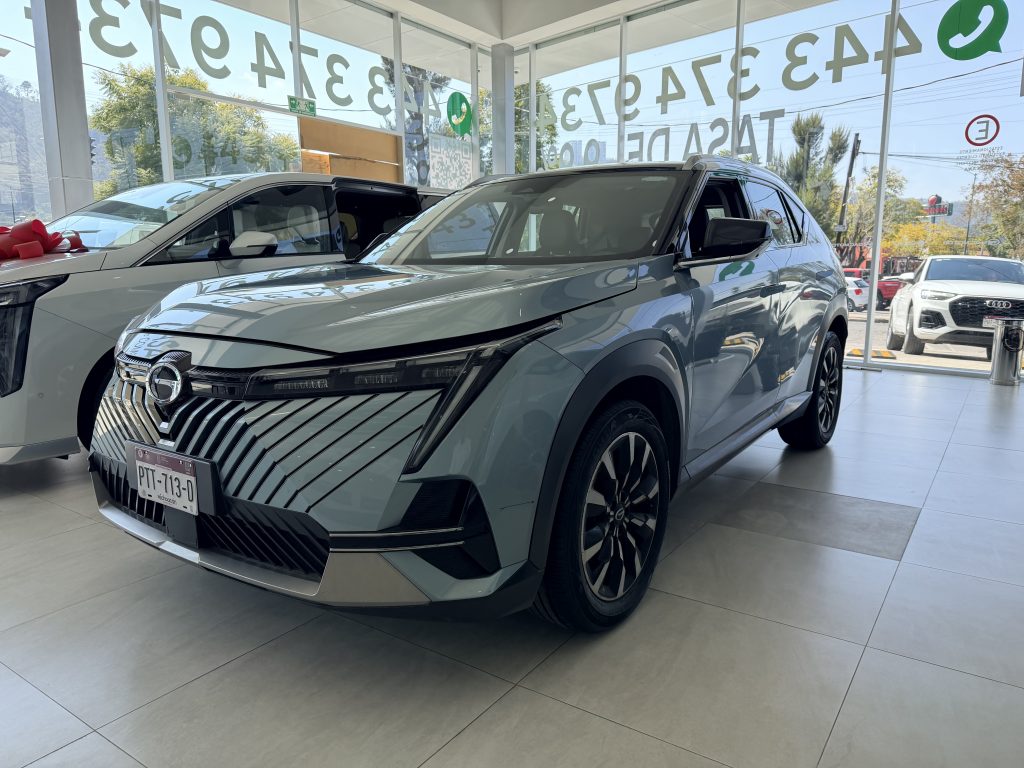 Foto de GAC Emkoo GL 2024